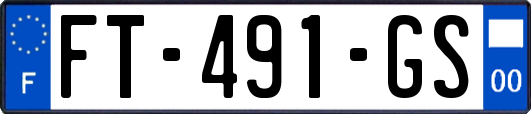 FT-491-GS