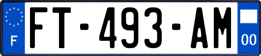 FT-493-AM