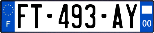 FT-493-AY