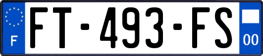 FT-493-FS