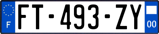 FT-493-ZY