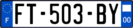 FT-503-BY