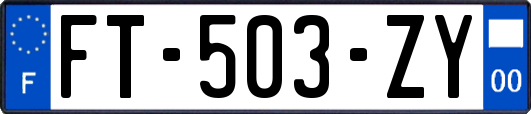 FT-503-ZY