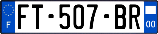 FT-507-BR