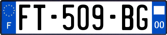 FT-509-BG