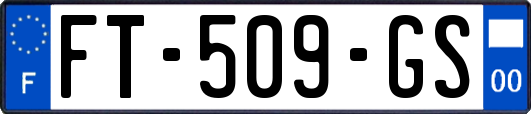 FT-509-GS