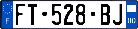 FT-528-BJ