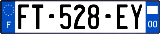 FT-528-EY