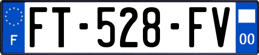 FT-528-FV