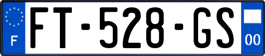 FT-528-GS