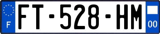 FT-528-HM