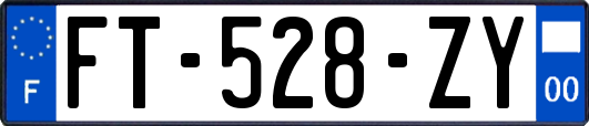 FT-528-ZY