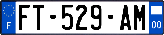 FT-529-AM