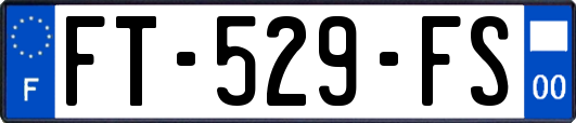 FT-529-FS