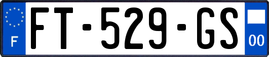 FT-529-GS