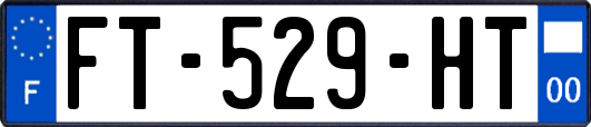 FT-529-HT