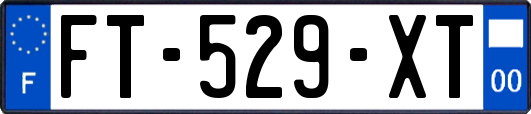 FT-529-XT