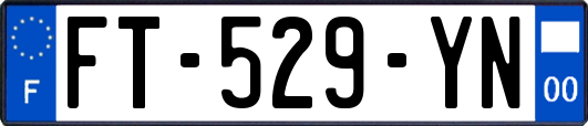 FT-529-YN