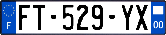 FT-529-YX