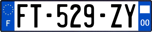 FT-529-ZY