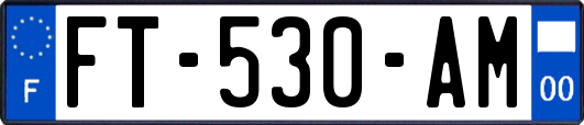 FT-530-AM