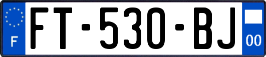 FT-530-BJ