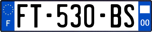 FT-530-BS