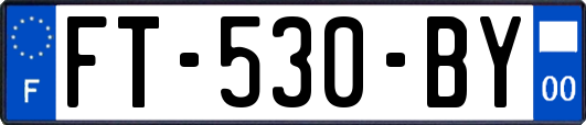 FT-530-BY