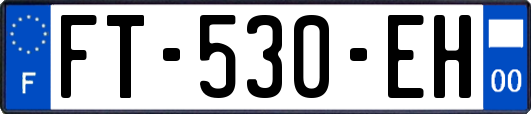 FT-530-EH