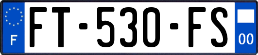 FT-530-FS