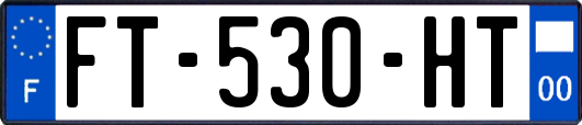 FT-530-HT