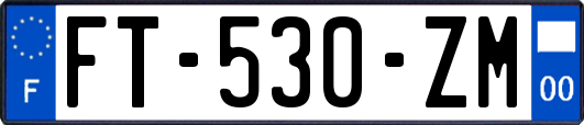 FT-530-ZM