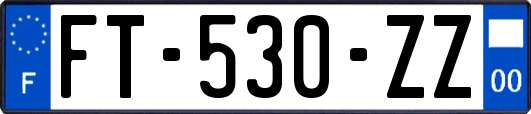 FT-530-ZZ