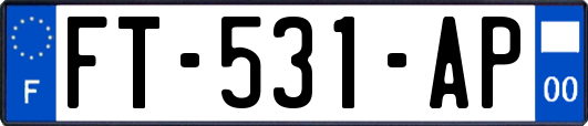 FT-531-AP