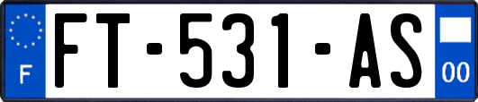 FT-531-AS