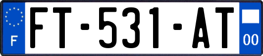 FT-531-AT