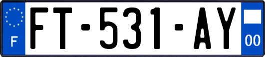 FT-531-AY
