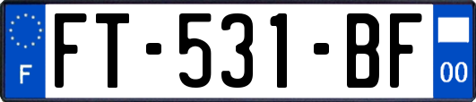 FT-531-BF