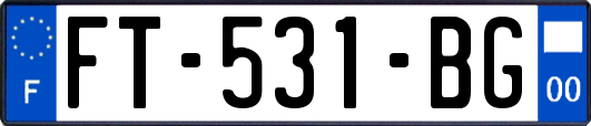 FT-531-BG