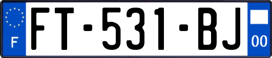 FT-531-BJ