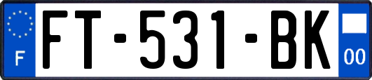 FT-531-BK