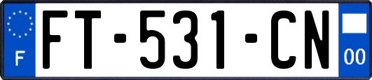 FT-531-CN