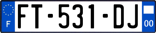 FT-531-DJ