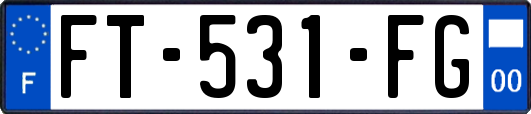 FT-531-FG