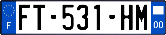 FT-531-HM