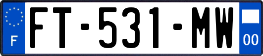 FT-531-MW