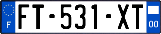 FT-531-XT