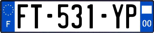 FT-531-YP