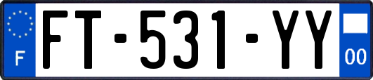 FT-531-YY