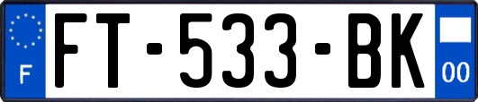 FT-533-BK